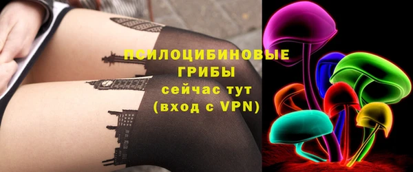ешки Надым