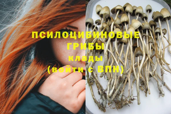 соль курить ск Наволоки