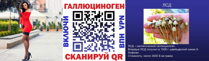 Псилоцибиновые грибы ЛСД Черняховск