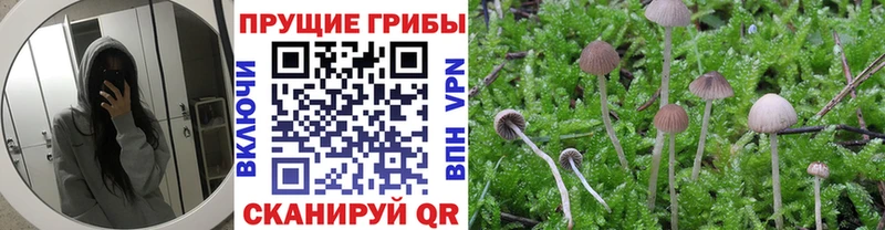 Галлюциногенные грибы ЛСД  Черняховск 